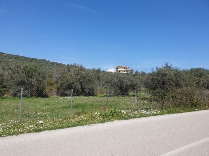 Image No.2-Propriété à vendre à Pelasgia