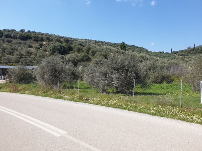 Image No.3-Propriété à vendre à Pelasgia