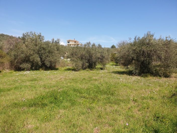 Image No.4-Propriété à vendre à Pelasgia