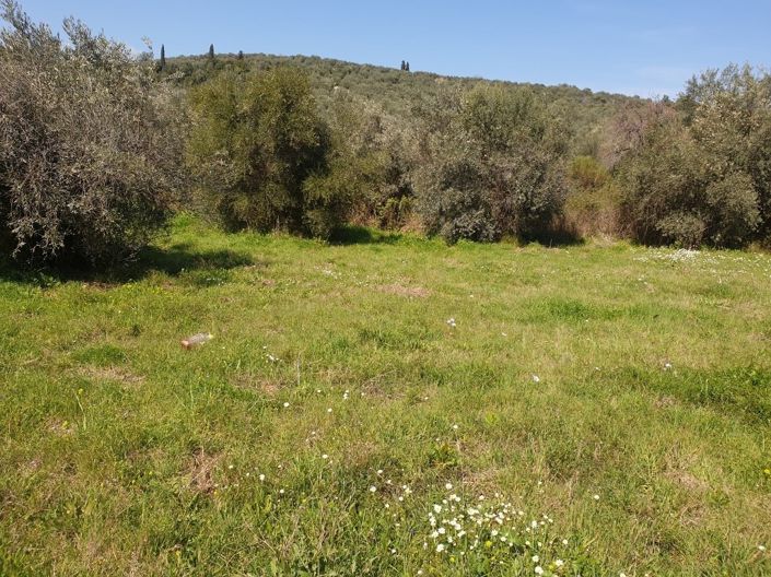 Image No.5-Propriété à vendre à Pelasgia