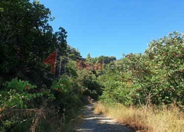 1 - Skopelos, Propriété