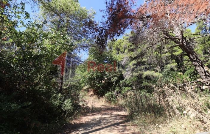 Image No.10-Propriété à vendre à Skopelos