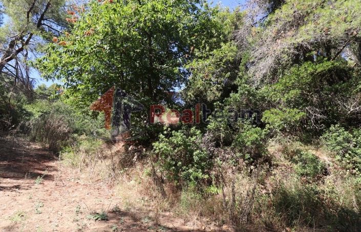 Image No.11-Propriété à vendre à Skopelos