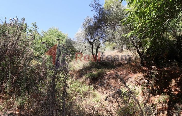 Image No.12-Propriété à vendre à Skopelos