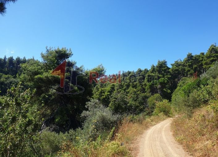 Image No.2-Propriété à vendre à Skopelos