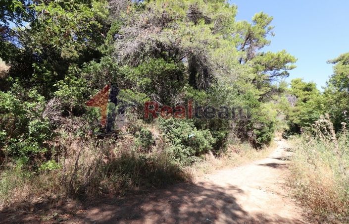 Image No.3-Propriété à vendre à Skopelos