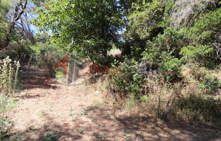 Image No.4-Propriété à vendre à Skopelos