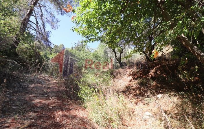 Image No.5-Propriété à vendre à Skopelos