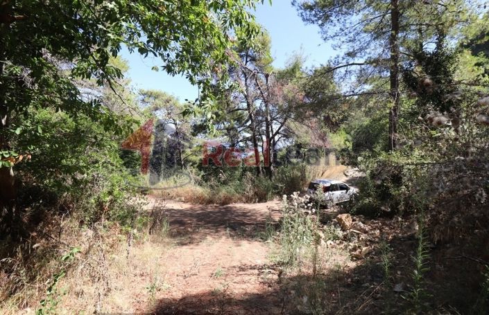 Image No.6-Propriété à vendre à Skopelos