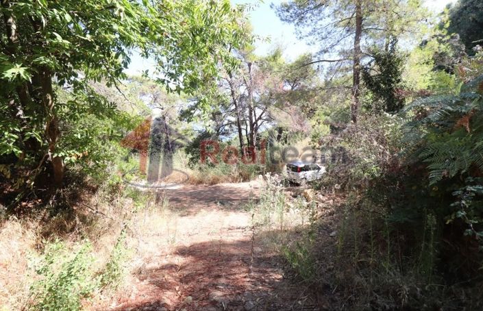 Image No.7-Propriété à vendre à Skopelos