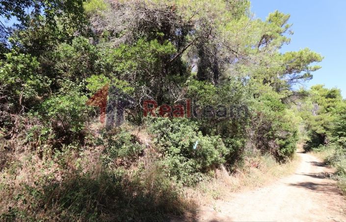 Image No.8-Propriété à vendre à Skopelos