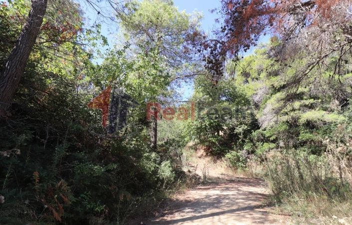 Image No.9-Propriété à vendre à Skopelos