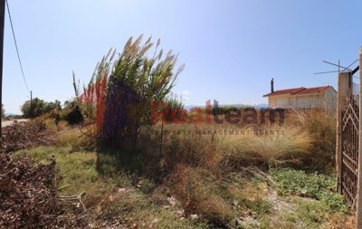 img1ebef50a-07de-426f-bf0f-ba219658e48a