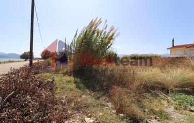 img4654da16-fe85-4b6e-ac70-1a81e86eaaa9