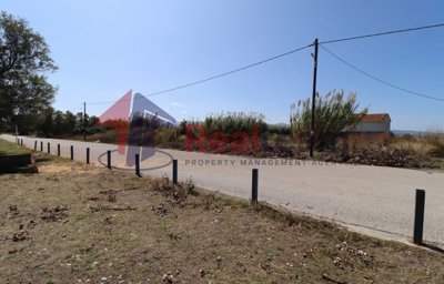 imgcfe3aa1a-c6e3-4a44-9963-cce49bd0edb6