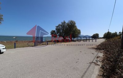 imgb0cf80ff-3eda-4c55-b1c7-5cbb57cc387b