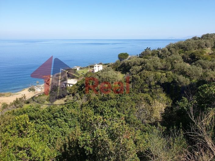 Image No.12-Propriété à vendre à Skopelos