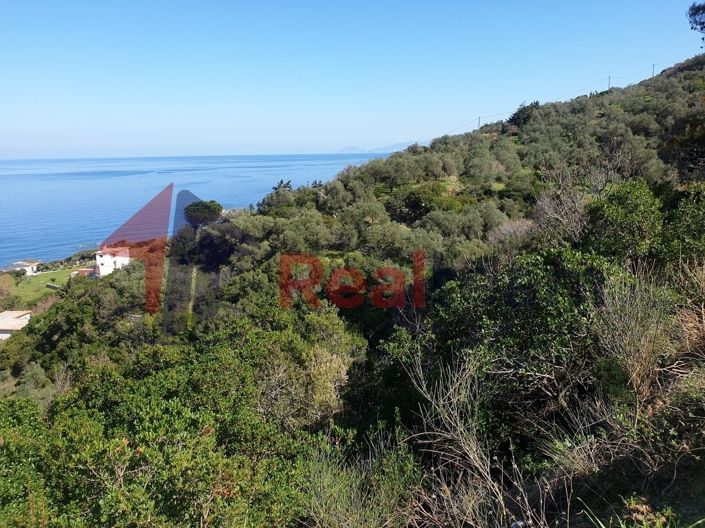 Image No.13-Propriété à vendre à Skopelos