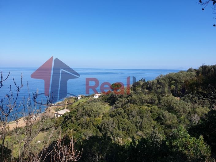 Image No.17-Propriété à vendre à Skopelos