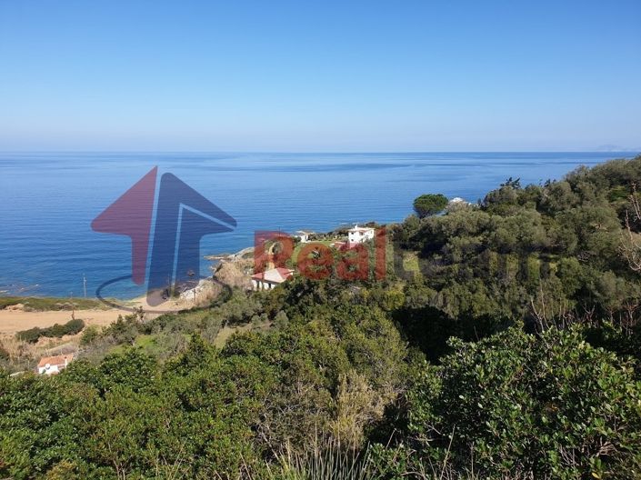 Image No.19-Propriété à vendre à Skopelos