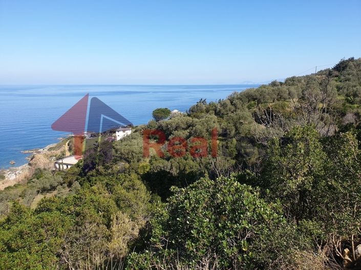 Image No.20-Propriété à vendre à Skopelos