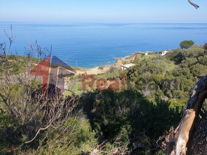 Image No.7-Propriété à vendre à Skopelos