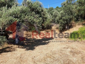 imgfae1b349-bdf7-44c1-9bb1-bd8a158e6c9b