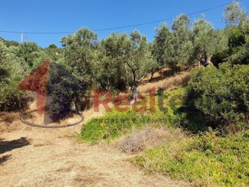 img7e0b81ec-45ef-4879-8602-bbff77638263