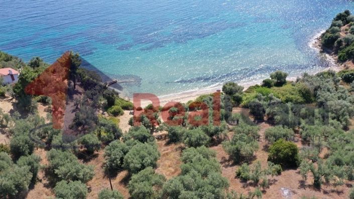 Image No.19-Propriété à vendre à Pteleos