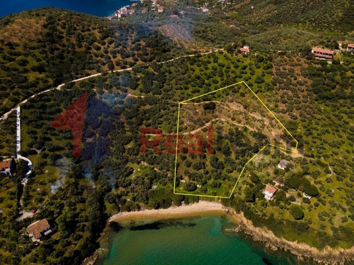 Image No.5-Propriété à vendre à Pteleos