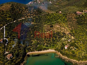 img219379b6-be1f-43dc-9ac2-928750f2cef3