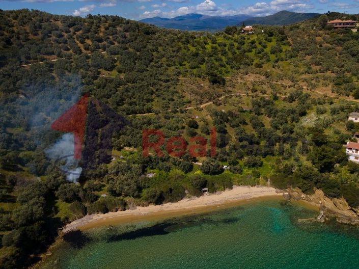 Image No.7-Propriété à vendre à Pteleos