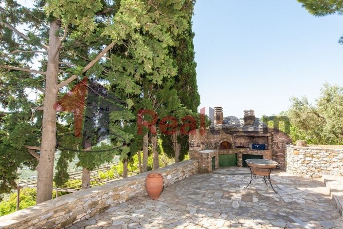 Image No.24-Propriété à vendre à Chora