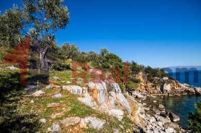 img84db41a3-1709-428f-895e-0da73a587b15