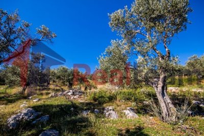 imga7021360-b631-4145-ac7d-c4855920a687