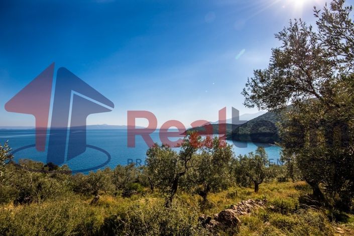 Image No.16-Propriété à vendre à Sourpi