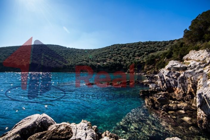 Image No.2-Propriété à vendre à Sourpi