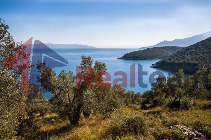 Image No.3-Propriété à vendre à Sourpi