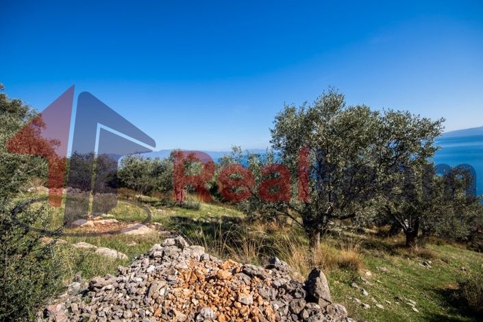 Image No.4-Propriété à vendre à Sourpi