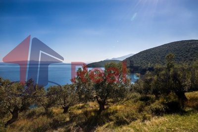 img9d989d2c-da1c-48fc-ae76-3b7f53106036