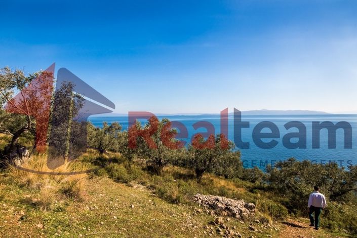 Image No.7-Propriété à vendre à Sourpi