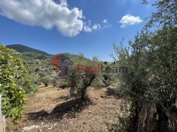 imga006f8da-37f9-4222-8155-10a9fde6b8b0