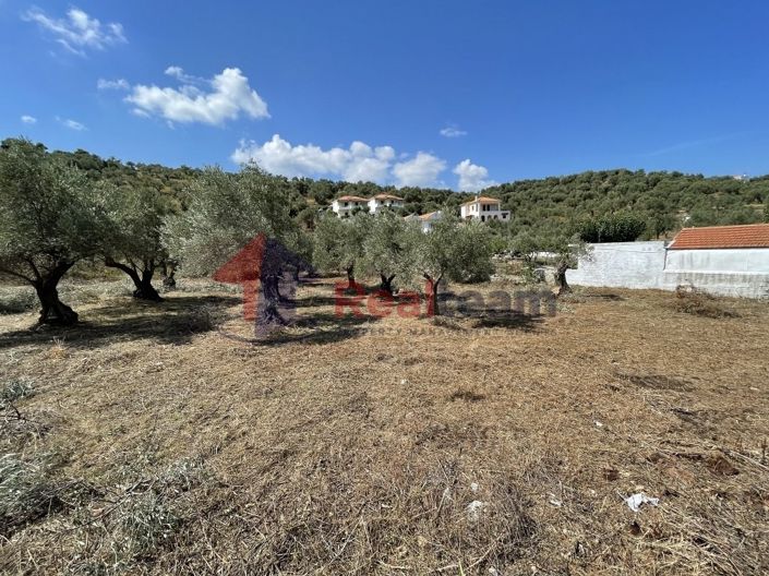 Image No.12-Propriété à vendre à Chora