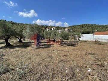 imgc0aa3b5e-9c64-4c8b-8508-ff0c1b40b2f8