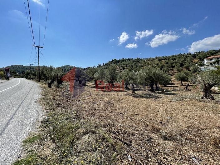 Image No.13-Propriété à vendre à Chora