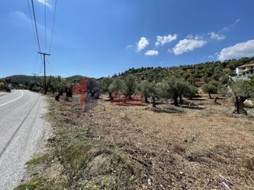 img964786c2-e84a-4604-9d59-e1beeaba957c