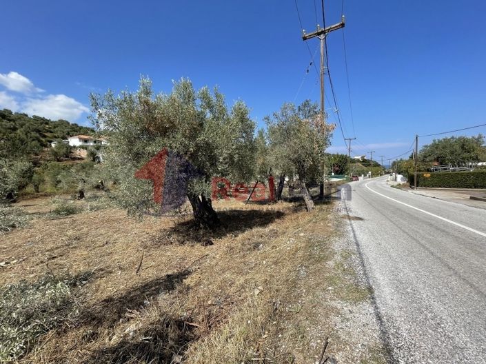 Image No.14-Propriété à vendre à Chora