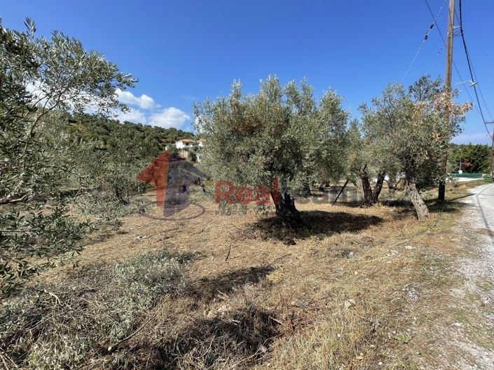 Image No.15-Propriété à vendre à Chora