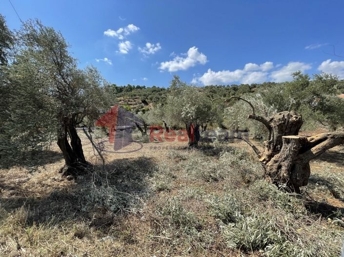 Image No.16-Propriété à vendre à Chora