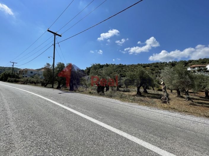 Image No.17-Propriété à vendre à Chora